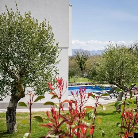Luxury Ante With Pool Vilă
